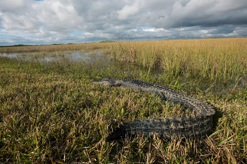 Everglades National Park